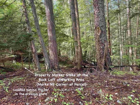 182 Bluebird Ave, Cusick, WA 99119 photo 24