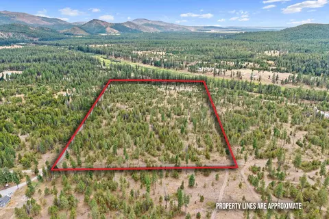 44 Nn Woods Way, Springdale, WA 99173