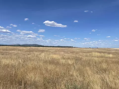 35251 Crescent N Rd #PARCEL 4, Reardan, WA 99029