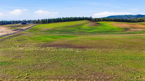 15007 E Belmont Rd, Mica, WA 99023