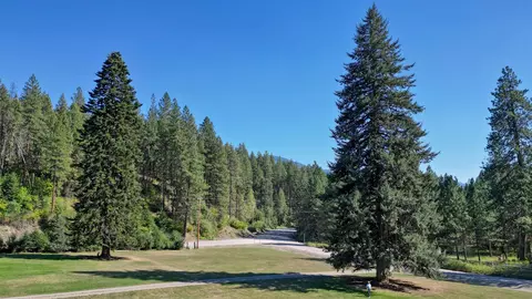 Exterior - 16112 Leclerc Rd - N Rd, Cusick, WA 99119 photo 15 of 15