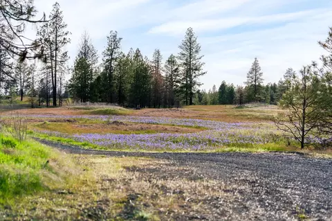 000 Bootstrap Ln, Cheney, WA 99004 photo 12