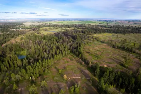 000 Bootstrap Ln, Cheney, WA 99004 photo 7