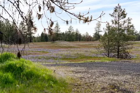 000 Bootstrap Ln, Cheney, WA 99004 photo 10