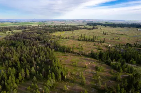 000 Bootstrap Ln, Cheney, WA 99004 photo 5