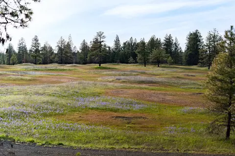 000 Bootstrap Ln, Cheney, WA 99004 photo 13