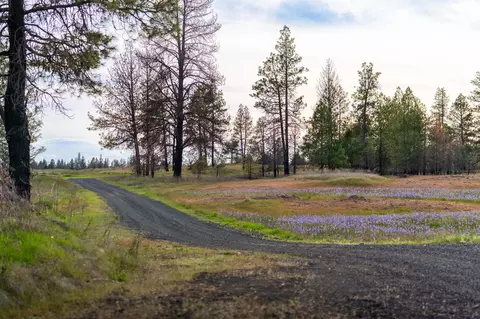 000 Bootstrap Ln, Cheney, WA 99004 photo 11