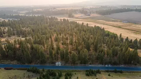 11002 S Jackson Rd, Mica, WA 99023