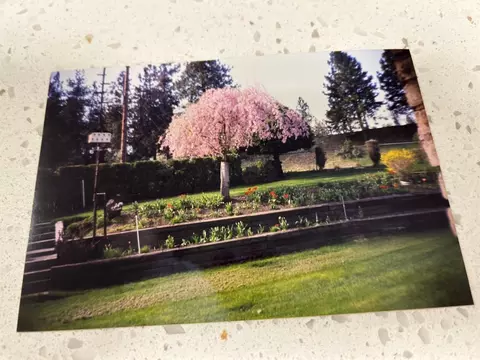 Exterior - 724 E 10th Ave, Spokane, WA 99202 photo 8 of 8