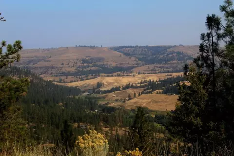 35770 Spruce Grouse N Ln, Davenport, WA 99122