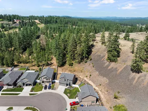 1225 E Paske Rd, Colbert, WA 99005 photo 39