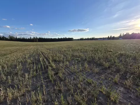 Nkn Allen Rd, Elk, WA 99009