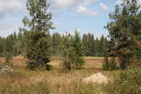 00 Little Sweden Rd #LOT B, Valley, WA 99181