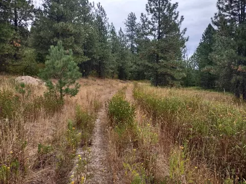 NN Little Sweden Rd #D, Valley, WA 99181