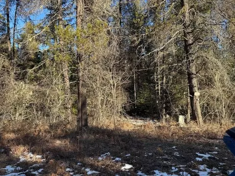 311 E Joyner Dr, Cusick, WA 99119 photo 2