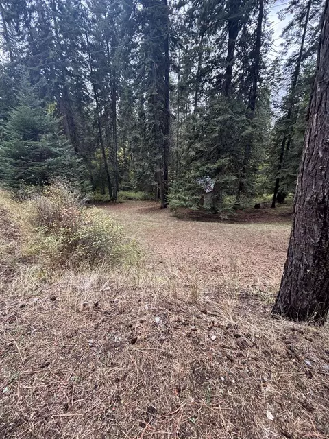 16118 E Temple Rd, Spokane, WA 99217 photo 37