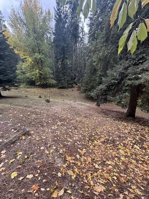 16118 E Temple Rd, Spokane, WA 99217 photo 41