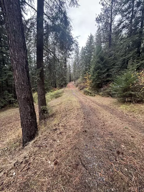 16118 E Temple Rd, Spokane, WA 99217 photo 42