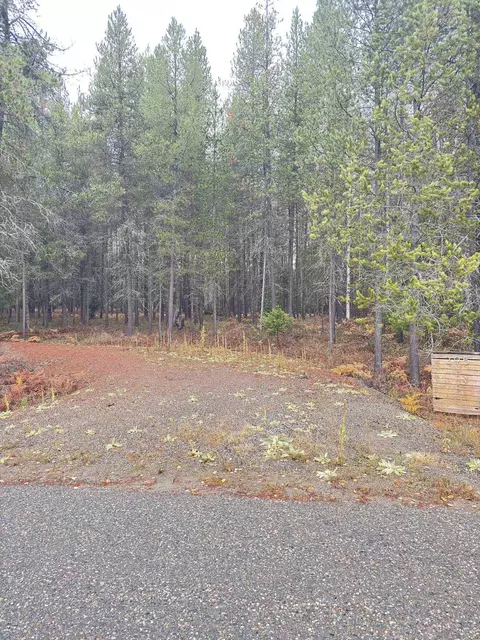 295 Wilderness Ave, Ione, WA 99139 photo 2