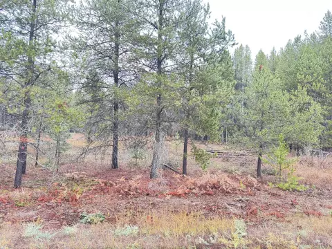 295 Wilderness Ave, Ione, WA 99139 photo 9