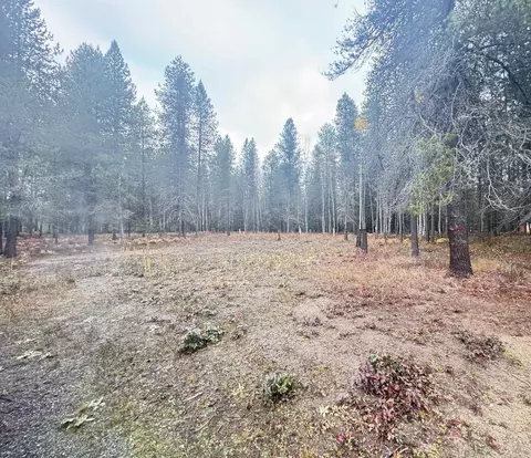 295 Wilderness Ave, Ione, WA 99139