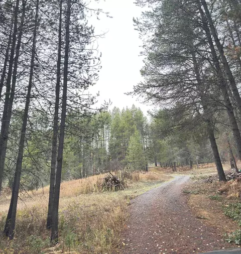 295 Wilderness Ave, Ione, WA 99139 photo 8