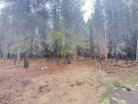 295 Wilderness Ave, Ione, WA 99139 photo 4