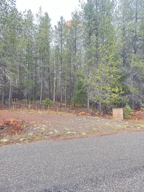 295 Wilderness Ave, Ione, WA 99139 photo 3