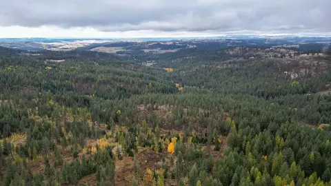 0 N Mt Carlton Apn 471319081 Rd, Mead, WA 99021