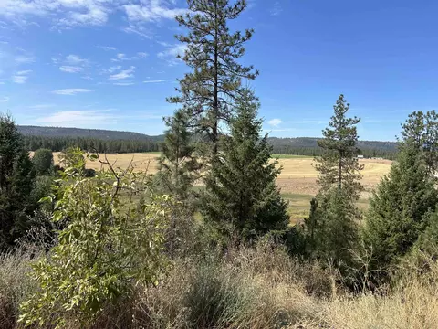 4256 Hwy 231, Springdale, WA 99173