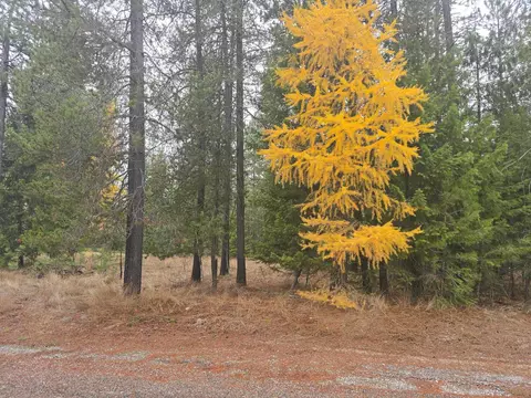 Nnn Lot 18 Couples Ct, Chewelah, WA 99109
