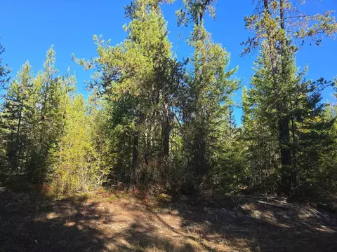 Nnn Red Tail Way, Colville, WA 99114