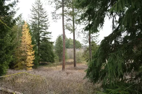 00 Dahl Rd #LOT 7, Deer Park, WA 99006