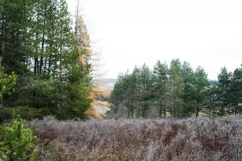 00 Dahl Lot 8 Rd, Deer Park, WA 99006