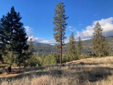 1351 Lake Roosevelt Way, Kettle Falls, WA 99141