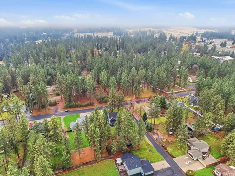 View/Area - 4601 E Pineglen Rd, Mead, WA 99021 photo 3 of 4