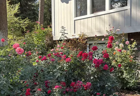 Exterior - 11613 E 48th Ave, Spokane Valley, WA 99206 photo 7 of 12