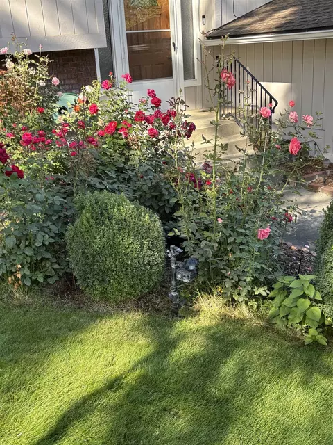 Exterior - 11613 E 48th Ave, Spokane Valley, WA 99206 photo 8 of 12