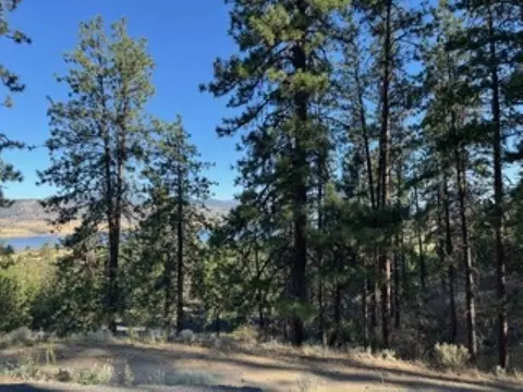 510 Hunt Ln, Seven Bays, WA 99122
