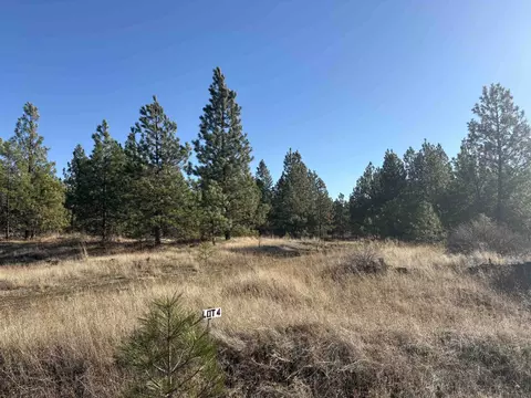 35410 N Prairie Ln #LOT 4, Creston, WA 99117