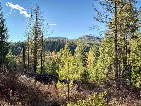 tbd Olinger Rd, Springdale, WA 99173