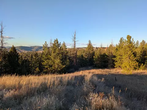 8911 N Rustle Rd, Spokane, WA 99208 photo 2