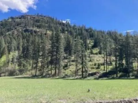 35 Nn Rockcut Rd, Kettle Falls, WA 99141