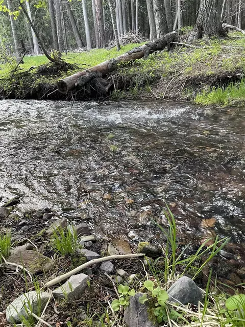 245 Night Hawk Ln, Newport, WA 99156