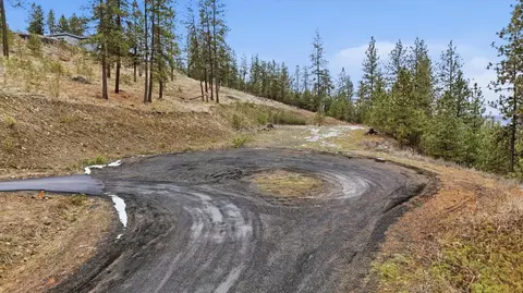 Nn Syringa Way, Nine Mile Falls, WA 99026