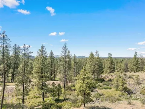 5339 W Anderson Rd, Cheney, WA 99004