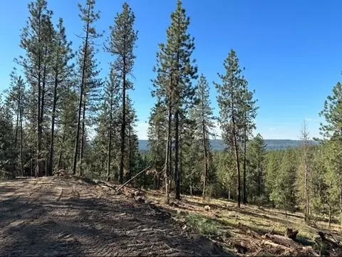 NKA Weaver Way #4 OF  5, Deer Park, WA 99006