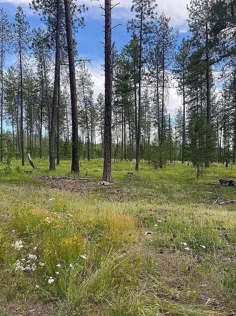 151 E Nn E Oregon Rd #PARCEL 49111.9067, Elk, WA 99009