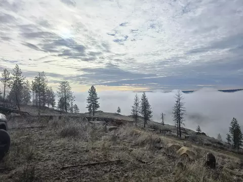 Nn Pine Ridge Way, Nine Mile Falls, WA 99026