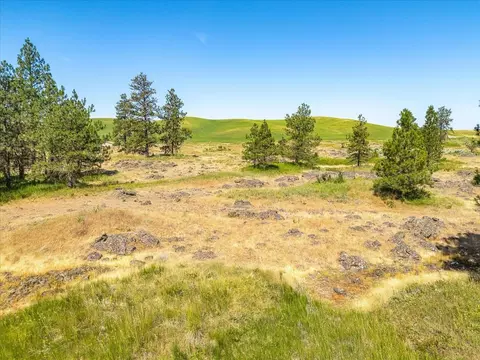00 Nnn Blomgren Rd E, Edwall, WA 99008 photo 4